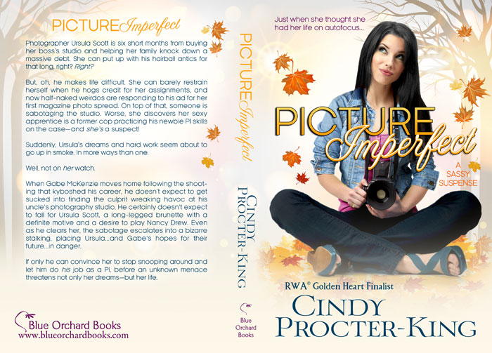 Picture Imperfect Paperback Cover